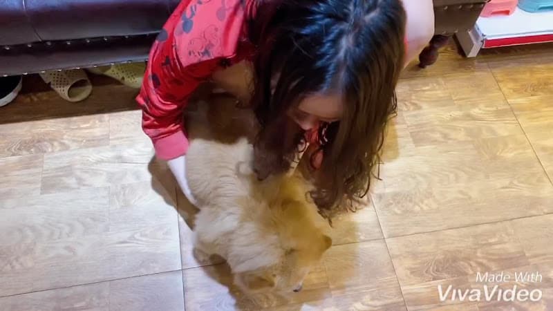 Hình ảnh Đậu Đậu Pet Bắc Ninh - Siêu Thị Thú Cưng - 3