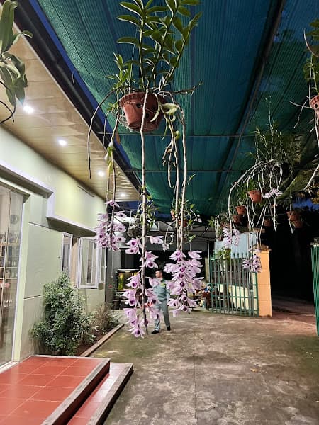 Hình ảnh Nhà hàng Gió Đồng Quán - 4