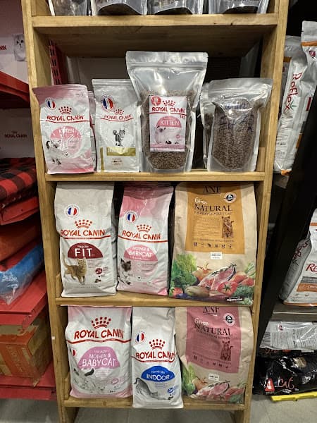 Hình ảnh SIÊU THỊ THÚ CƯNG CHÓP PETSHOP - 3