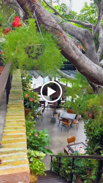 Hình ảnh Senta Vegetarian - 4