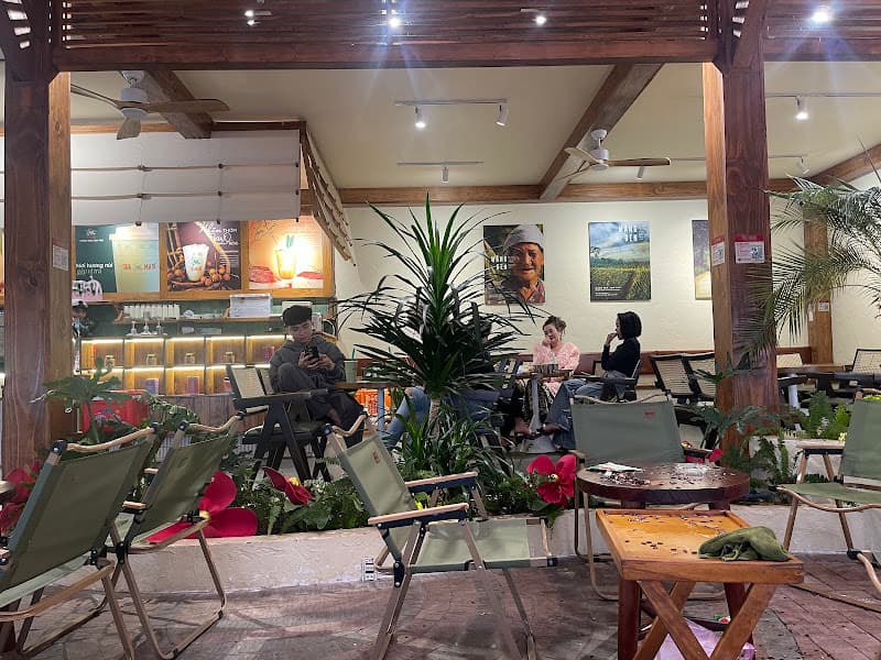 Hình ảnh Trà MADE - Măng Đen làm trà - 5