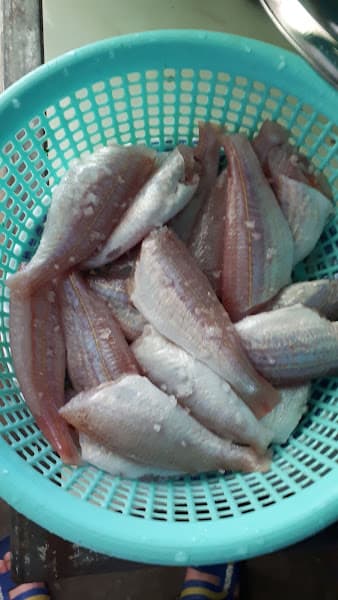 Hình ảnh Quán Tuân Béo Mực Nhảy, Hải Sản Tươi Sống và Các Món Nhậu Bình Dân - 2