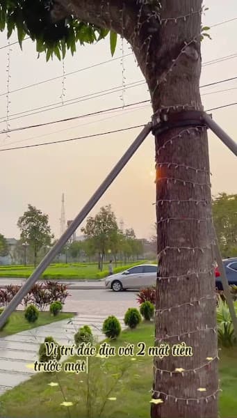 Hình ảnh Trà Sữa Đài Loan Tea Park - Thị trấn Thịnh Vượng, Ninh Bình - 3