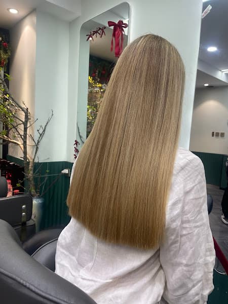Ảnh bìa 22 Hairlab