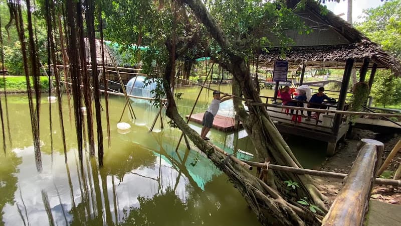 Hình ảnh Di tích Đạo Dừa - 4