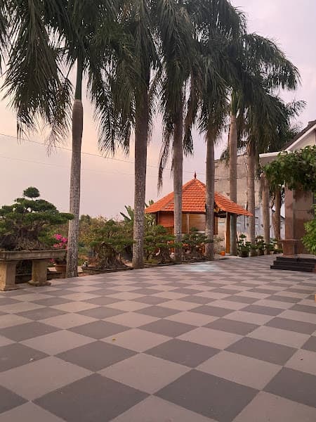 Hình ảnh Yến Sào 9 Tốt - 2