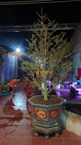 Hình ảnh Yến sào Anh Hưng - 2