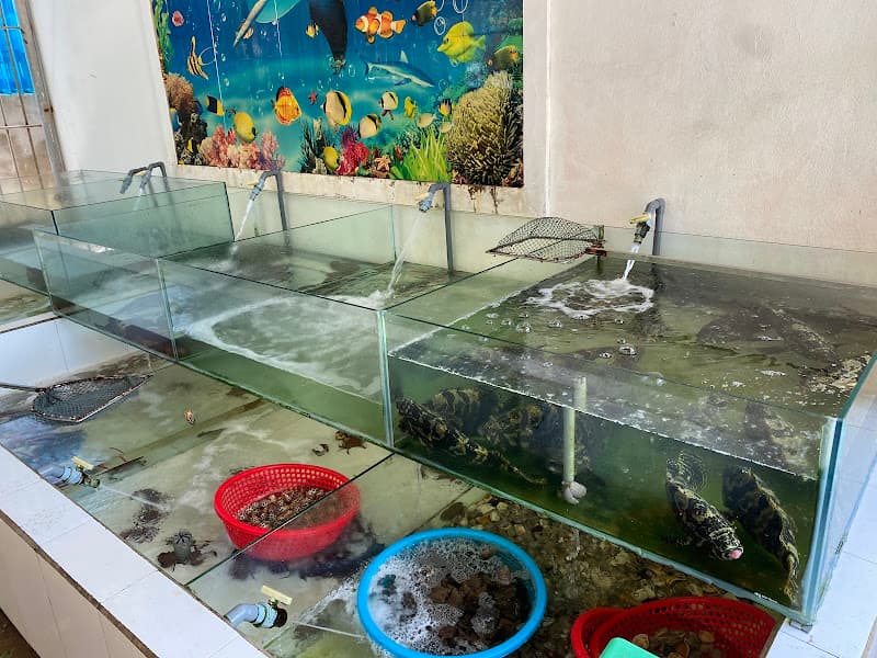 Ảnh bìa Mộc Thôn Quán