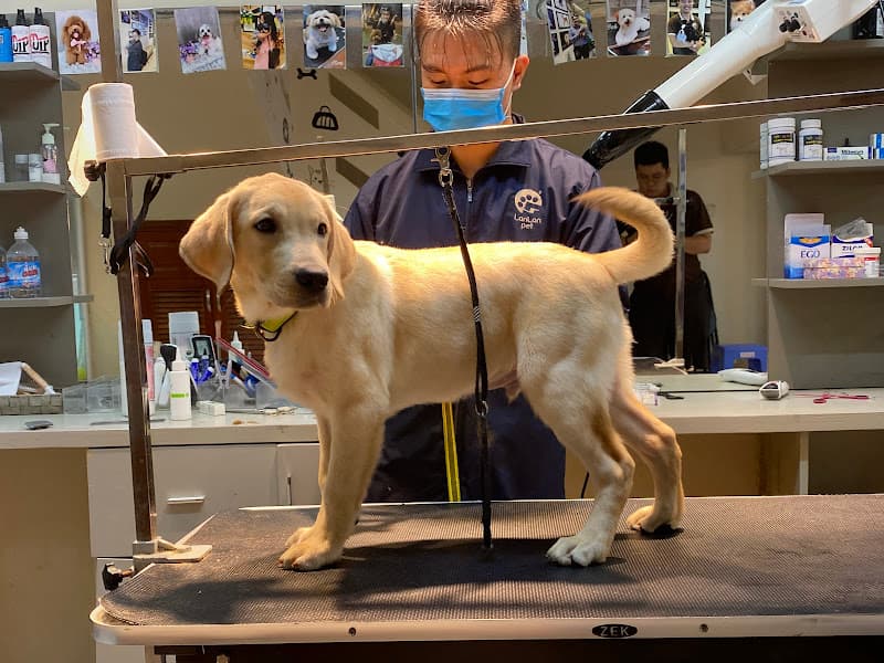 Hình ảnh Tùng Lộc Pet - 2