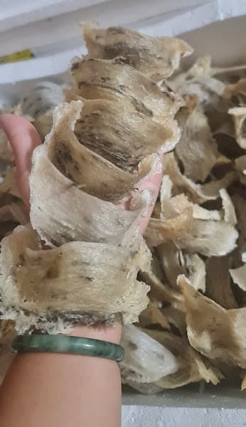 Hình ảnh Yến sào Cần Giờ FFC - 3