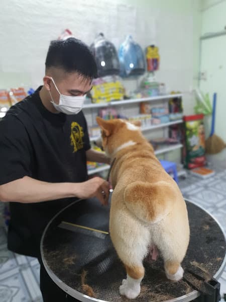 Hình ảnh 🐶 Gia Hân Pet 🐶 - 3