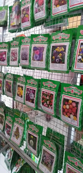 Hình ảnh Yến sào Hải Thụy - 3