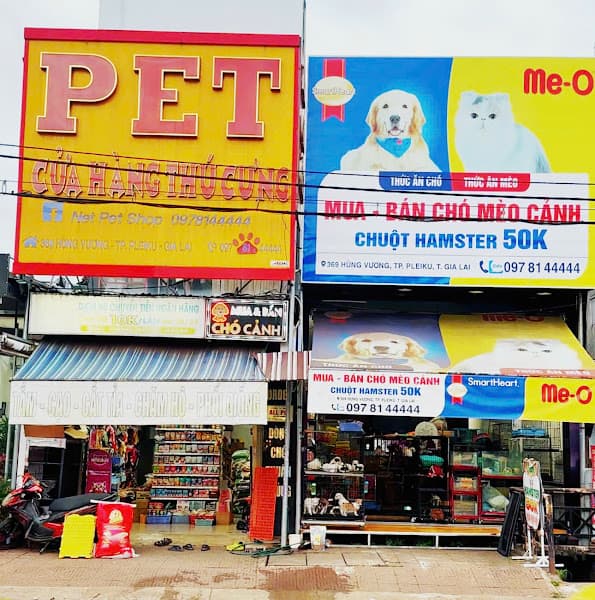 Net Pet Shop Gia Lai - Chó mèo gia lai - Thú Cưng Gia Lai