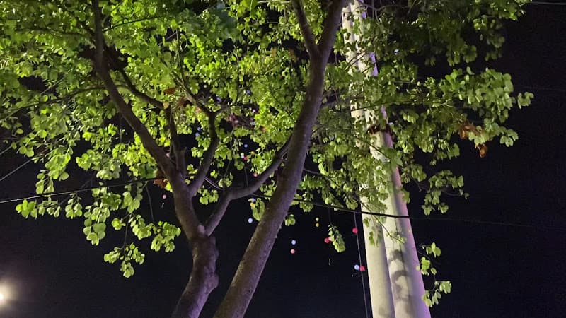 Hình ảnh Phố đi bộ - Thành phố Sơn La - 2