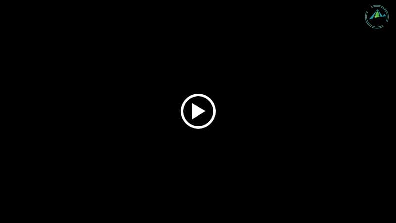 Hình ảnh Lẩu gà lá é- Tao Ngộ - 5