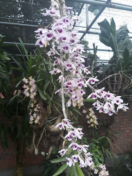 Hình ảnh Nhà hàng Thắng Thoa - 3