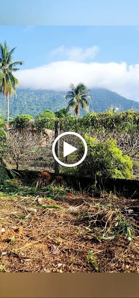 Hình ảnh Homestay núi Bà Đen Lam Ngọc - 5