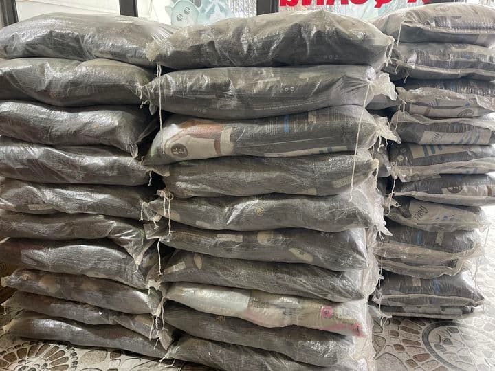 Hình ảnh Thú Y - Thú Cưng HỒNG LAM- Buôn Ma Thuột - 4