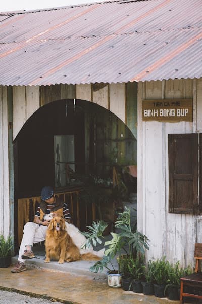 Hình ảnh Cà Phê Bình Bông Bụp - 2