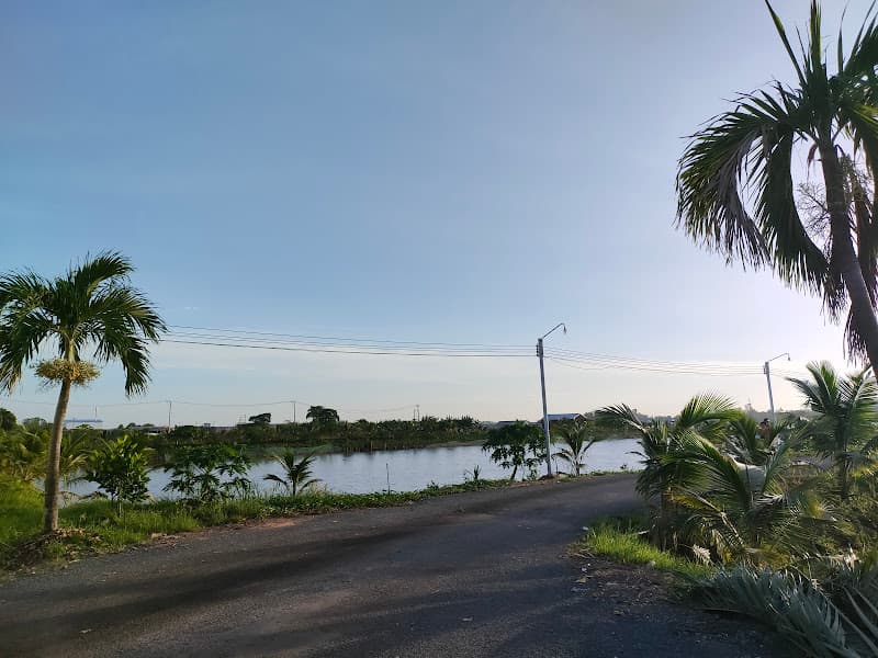 Hình ảnh PHUC TAM LOI FISHERIES IMPORT EXPORT COMPANY LIMITED - 2