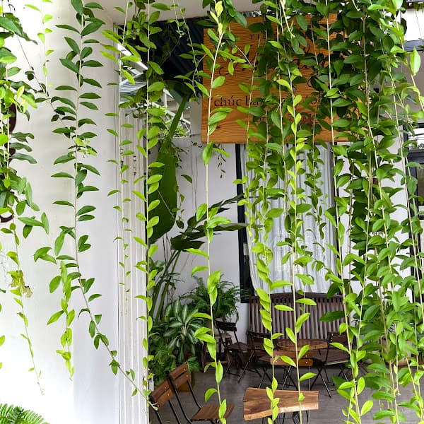 Hình ảnh Tiệm Cà Phê Monday - 3