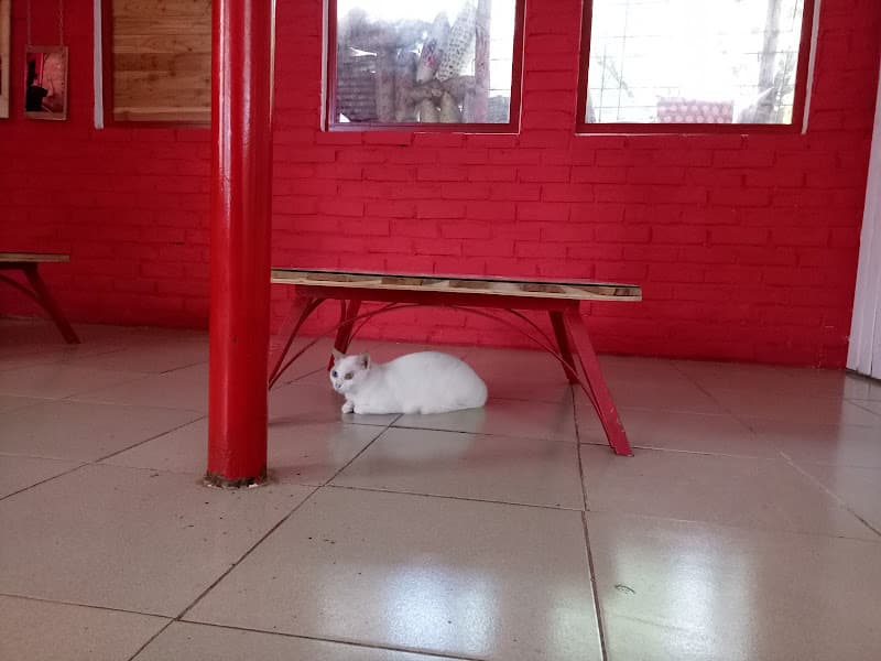 Hình ảnh Dobodo Town - 3