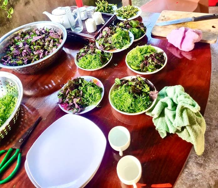 Hình ảnh Quán cháo lươn Xứ Nghệ, số 9, Trần Quý Cáp, kp7, Tân An, La Gi, Bình Thuận. - 4