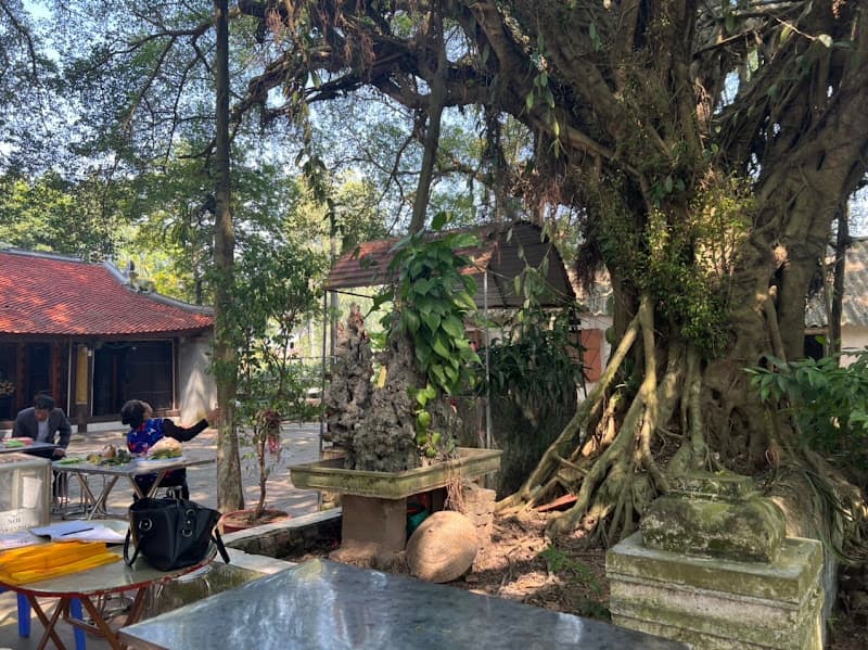 Hình ảnh Di tích lịch sử Phủ Điềm - 2