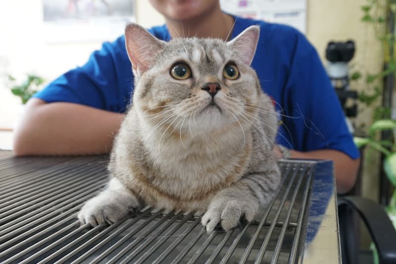 Hình ảnh Bệnh viện thú y EraVet - Văn Cao - 2