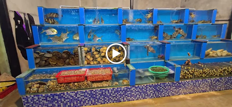 Hình ảnh HẢI SẢN THÀNH CÁ biển châu tân - 4