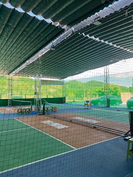 Hình ảnh Tiền Phong Pickleball - 6