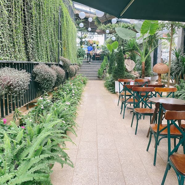 Cà phê Classic Gia Lai