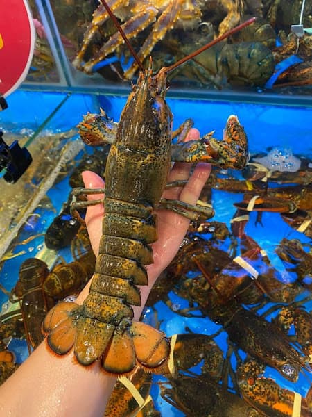 Hình ảnh Nhà hàng Hương Biển - 7