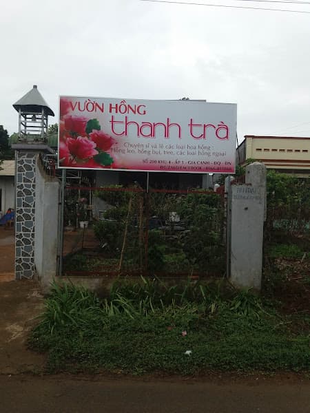 Ảnh bìa Vườn Hồng Thanh Trà