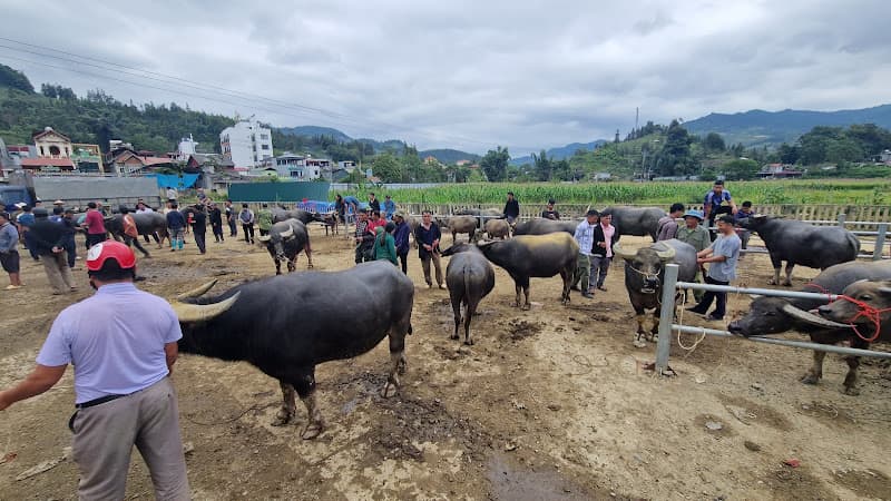 Hình ảnh Chợ Văn Hóa Bắc Hà - 2