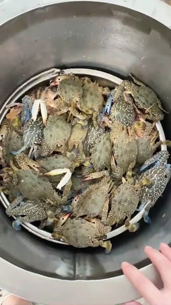 Hình ảnh Bánh canh ghẹ 88 - 6