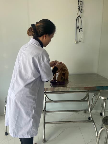 Hình ảnh Phòng khám thú y Phú Khánh - 2