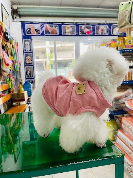 Phòng khám thú y Ecopet 247