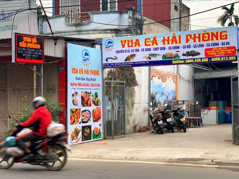Vua Cá Hải Phòng