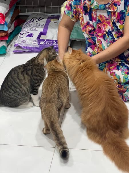 Hình ảnh EnBi’s PetShop - 5