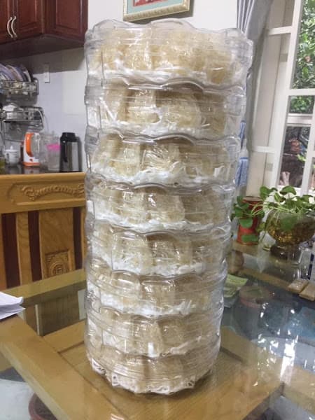 Hình ảnh Yến Sào THÀNH TỰU - Hồ Biển Lạc - 3