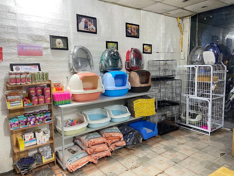 Hình ảnh Tiệm thú cưng Anh Huy Chó - 3