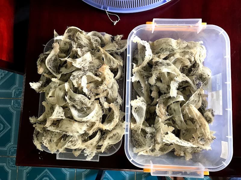 Hình ảnh Yến Sào Lai Vung - 4