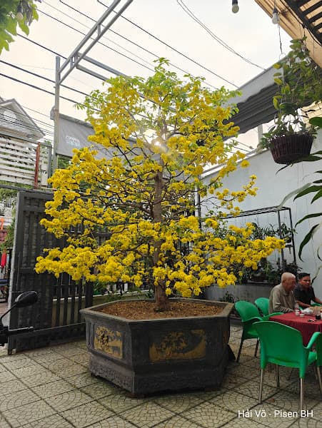 Hình ảnh Cafe Sơn Nam - 5