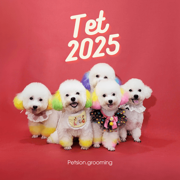 Hình ảnh Petsion - Khách sạn chó mèo. Tắm, cắt, làm đẹp thú cưng quận 3 - 5