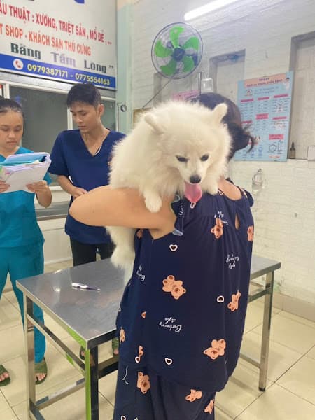 Hình ảnh Bệnh viện Thú y TiTi Pet Đà Nẵng - 3