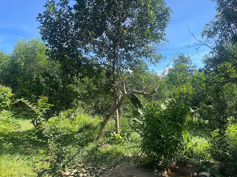 Ảnh bìa Đức Giang Pickleball