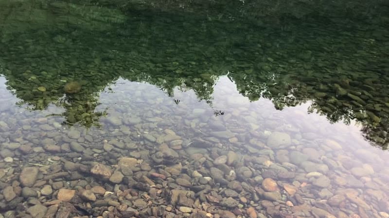 Hình ảnh Tea Homestay - 2