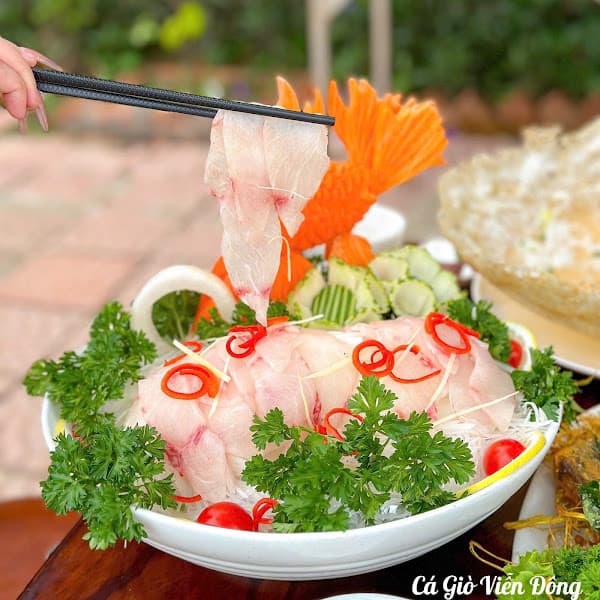 Hình ảnh Cá Giò Viễn Đông - 4