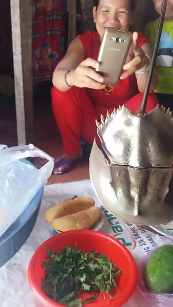 Hình ảnh Cà Phê Cây Sung - 3